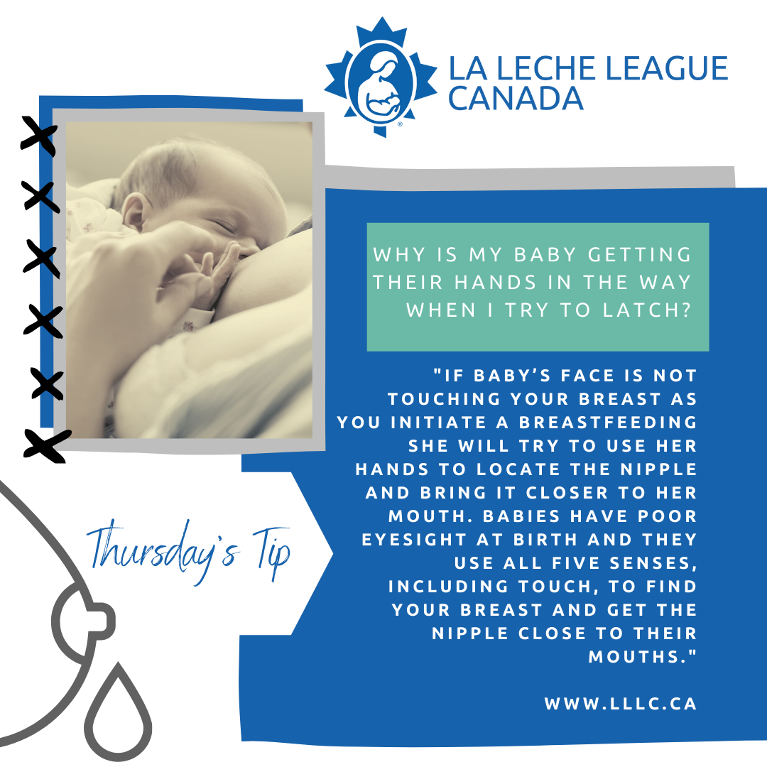 why does baby flails arms when nursing artvanleatherfurniture